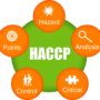 IDONEO PER PIANI HACCP